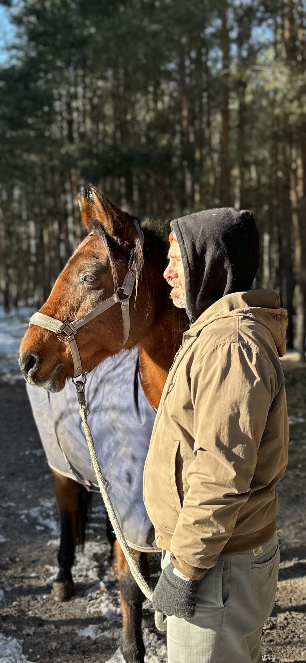 Pferdegestütztes Coaching Einzel